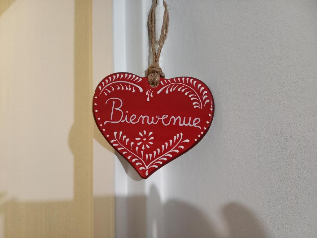LE PASSAGE gîte cocooning à Colmar centre touristique – photo 9