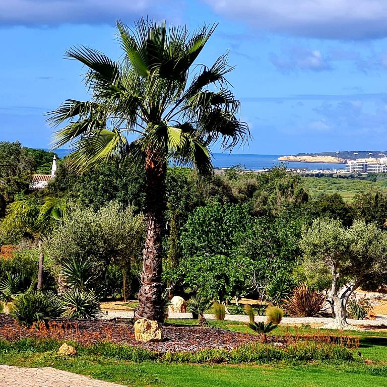 Monte Da Saudade Sesmarias Updated, How Much Do Landscapers Charge To Plant A Tree In Israel