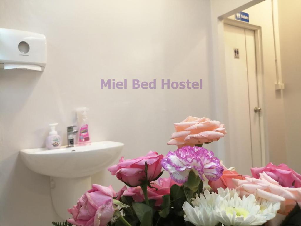 Fotografie z fotogalerie ubytování MIEL BED Hostel & Gallery v destinaci Chiang Mai