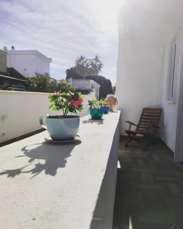 two potted plants sitting on the ledge of a balcony at PURA B&b in Noicattaro