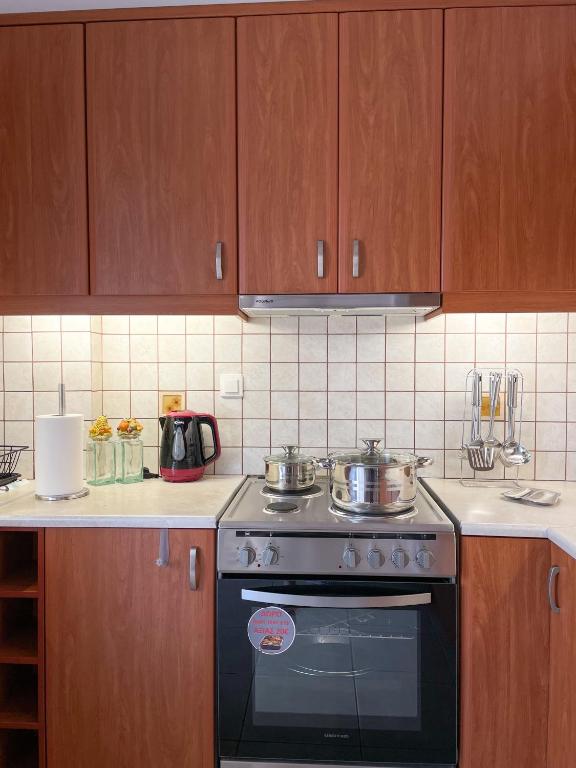 Kuchyňa alebo kuchynka v ubytovaní Ageliki's Athens Apartment