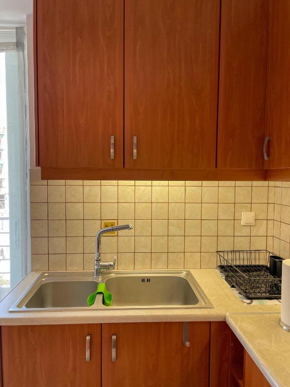 Kuchyňa alebo kuchynka v ubytovaní Ageliki's Athens Apartment