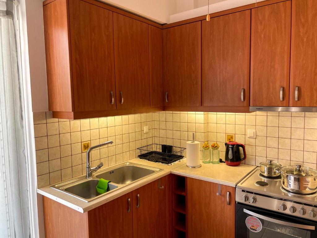Kuchyňa alebo kuchynka v ubytovaní Ageliki's Athens Apartment