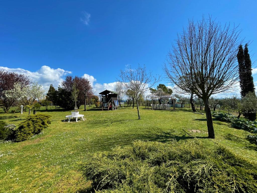 A garden outside Appartamento con Piscina e Giardino a Siena