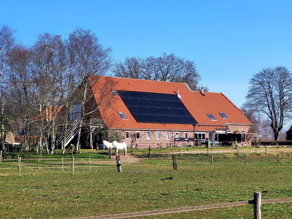 eine Scheune mit einem orangenen Dach mit einem Pferd auf dem Feld in der Unterkunft Slaopen en Stoet in Anderen