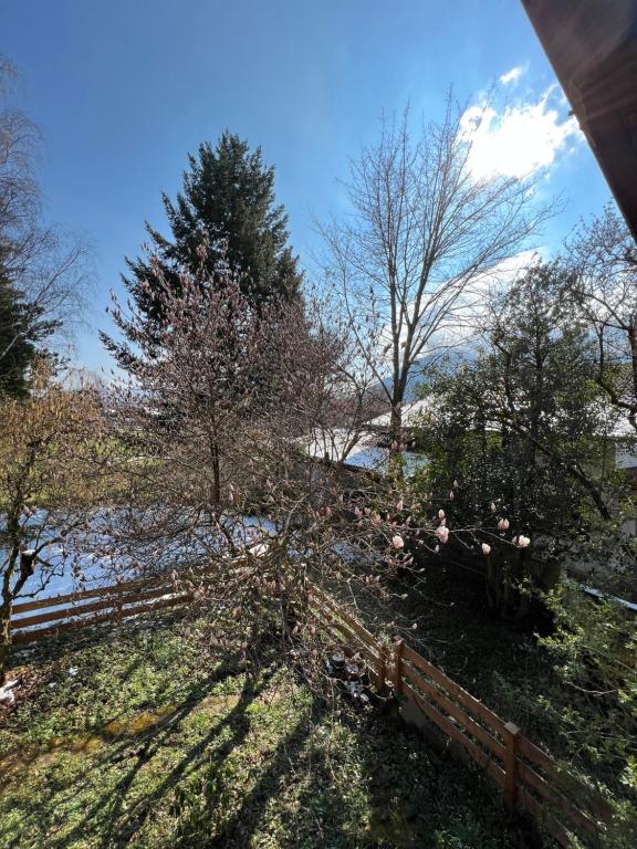 Zur Rose - Apartamento Con Mountain View