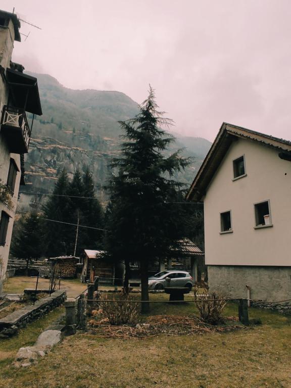 un árbol frente a una casa blanca con una montaña en Casa Andrea, en Cadarese