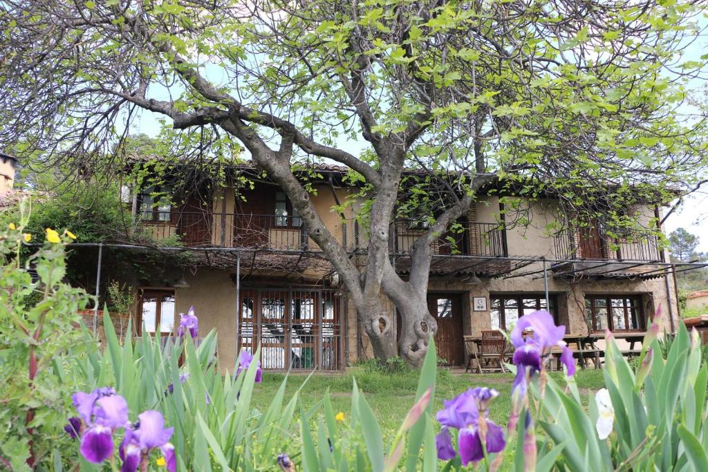 uma árvore em frente a uma casa com flores roxas em Casa Rural - Apartamentos Atuvera em Villanueva de la Vera
