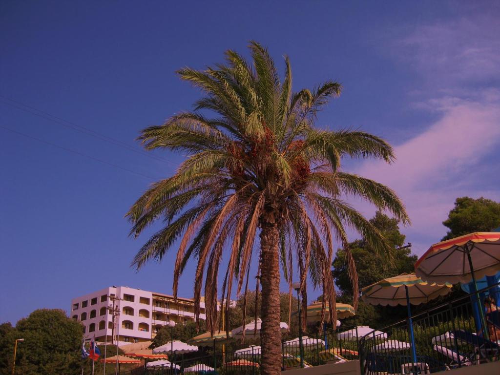 Fotografie z fotogalerie ubytování Romantza Mare v destinaci Kallithea