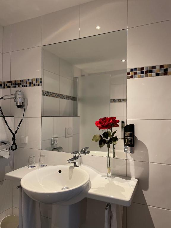 Alexander am Zoo - Resim 33