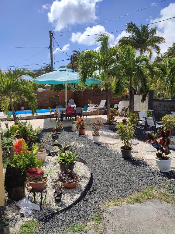 une terrasse avec des plantes en pot et une piscine dans l'établissement An ti kaz la, à Sainte-Anne