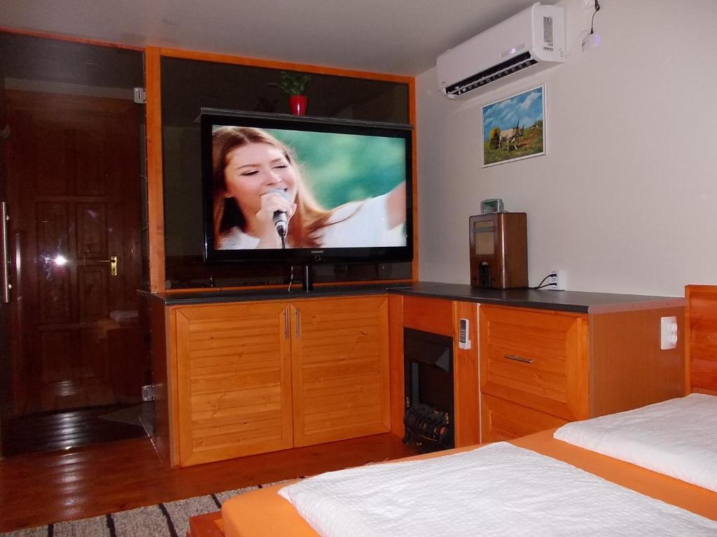 TV a/nebo společenská místnost v ubytování Maxilux Studio