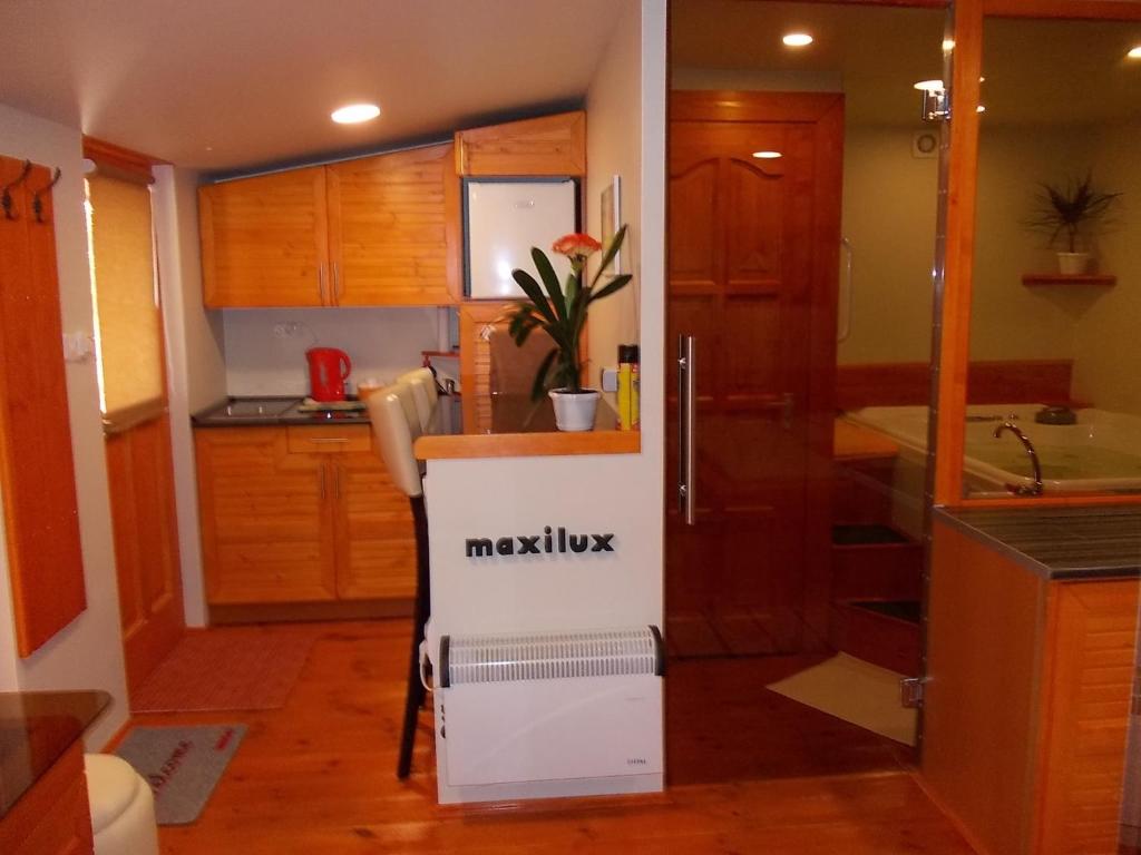 Kuchyň nebo kuchyňský kout v ubytování Maxilux Studio
