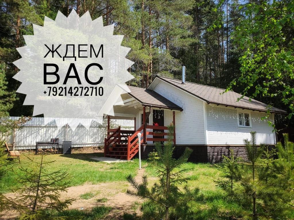 ОЗЕРЯВА Forest - отзывы и видео