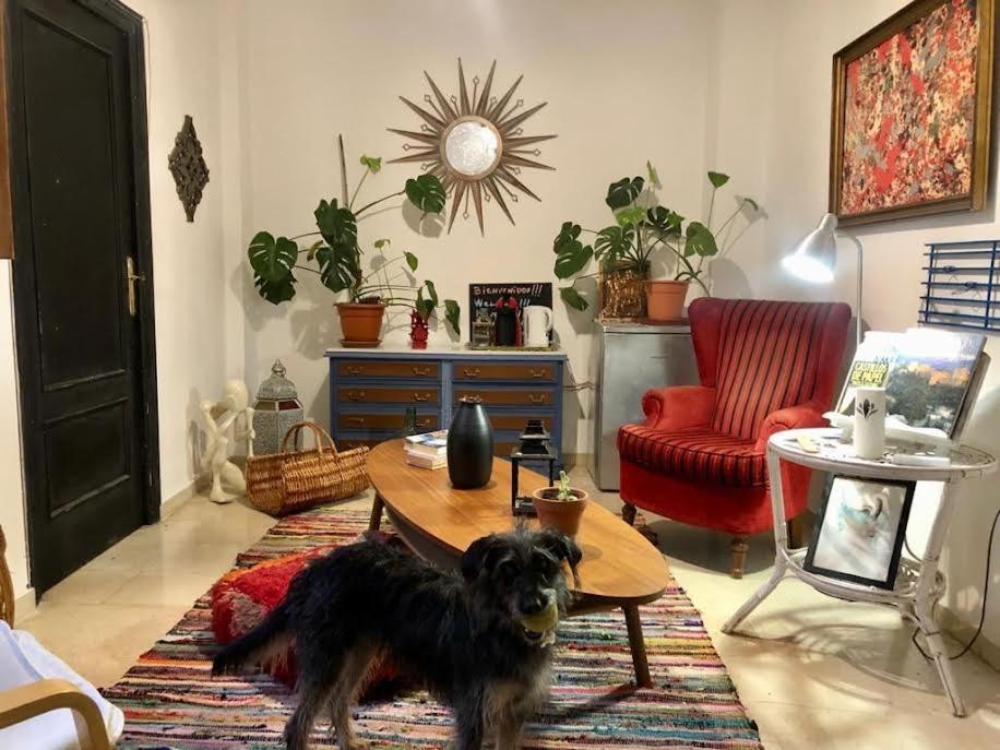 un perro parado en una sala de estar con una mesa en La casa del Sur, en Granada