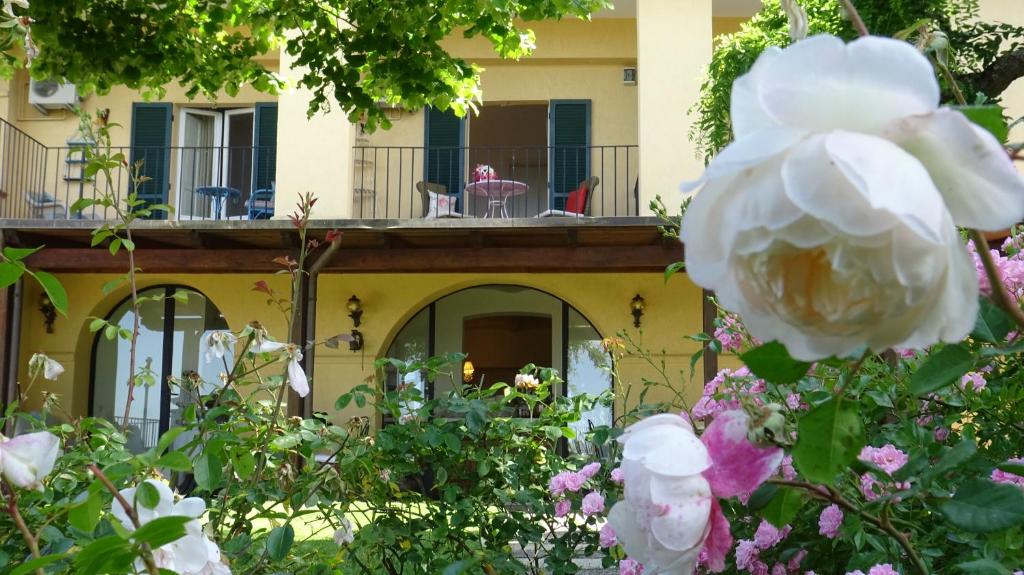 Zahrada ubytování Hotel Ideale
