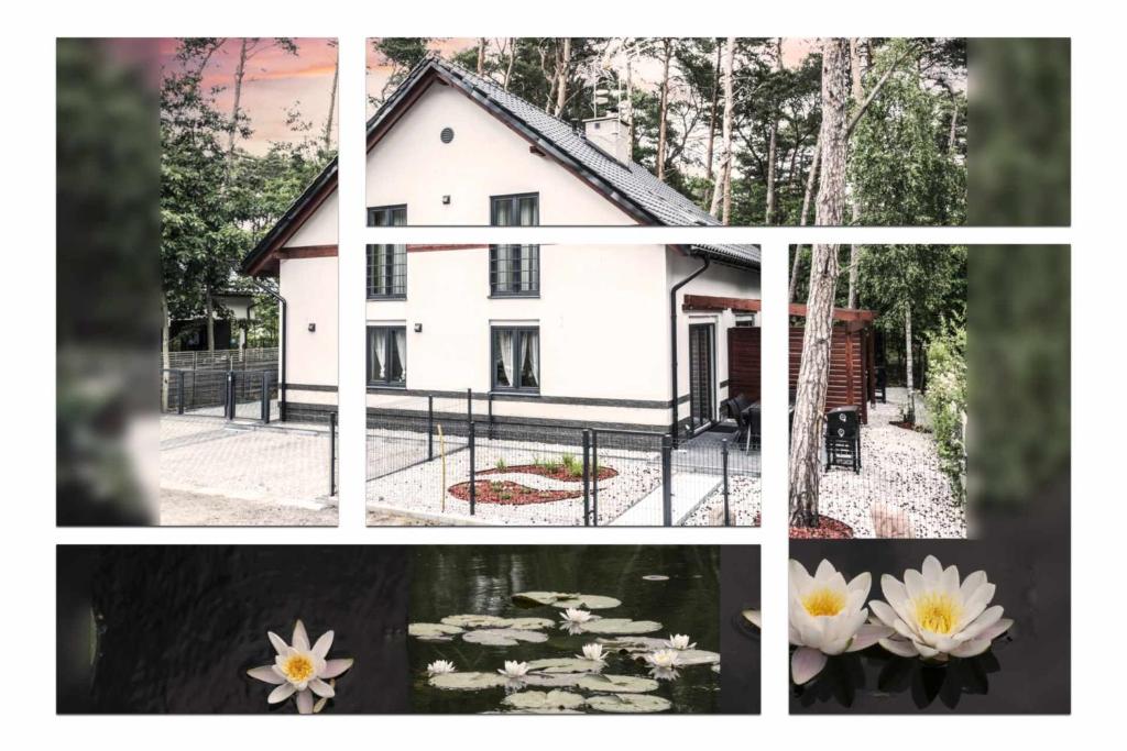 Gallery image of Lily - Sunny Flowers Apartments in Łukęcin