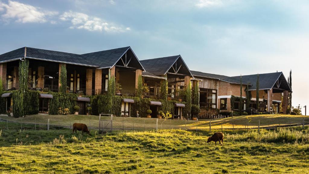 um edifício com vacas a pastar num campo à sua frente em Estribo Hotel Estancia em Santo Antônio