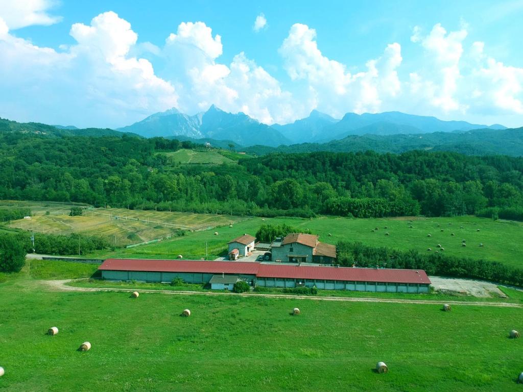 Eine Scheune auf einem Feld mit Schafen im Gras in der Unterkunft Agriturismo La Praduscella in Fivizzano