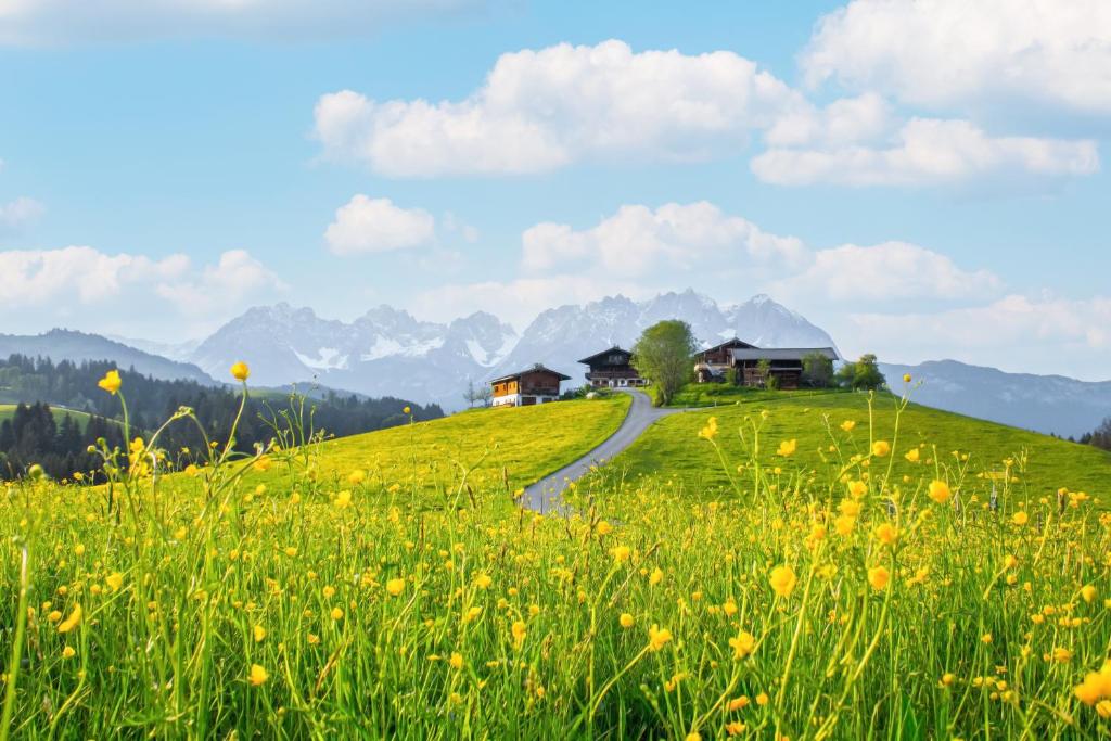 a house on a hill with a field of flowers at Bio Yoga Hof Kitzbühel in Kitzbühel