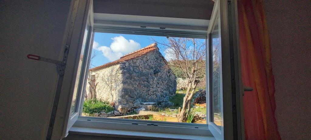 Fotografia z galérie ubytovania House "Olive Tree" v destinácii Vinišće