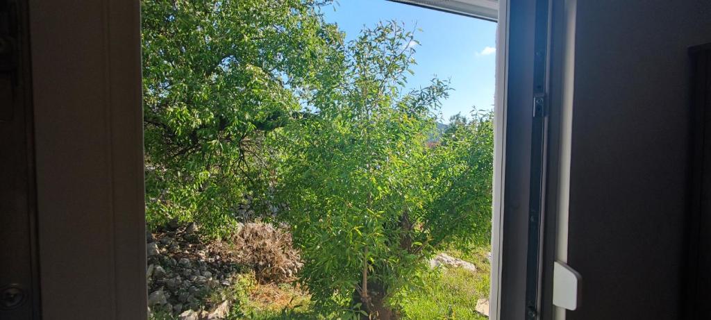 Vonkajšia záhrada v ubytovaní House "Olive Tree"