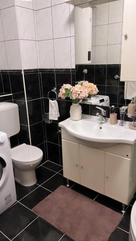 Koupelna v ubytování Apartments Mihi