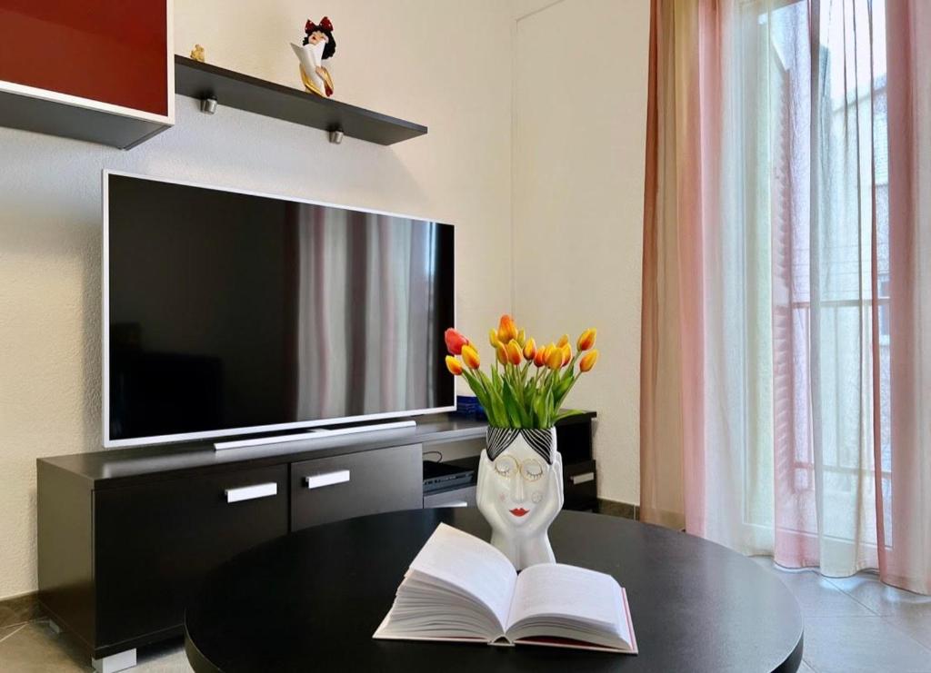 TV a/nebo společenská místnost v ubytování Apartments Mihi