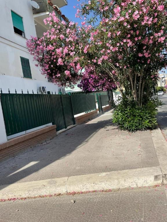a tree with pink flowers in front of a fence at Riviera Albachiara Anzio B&B in Anzio