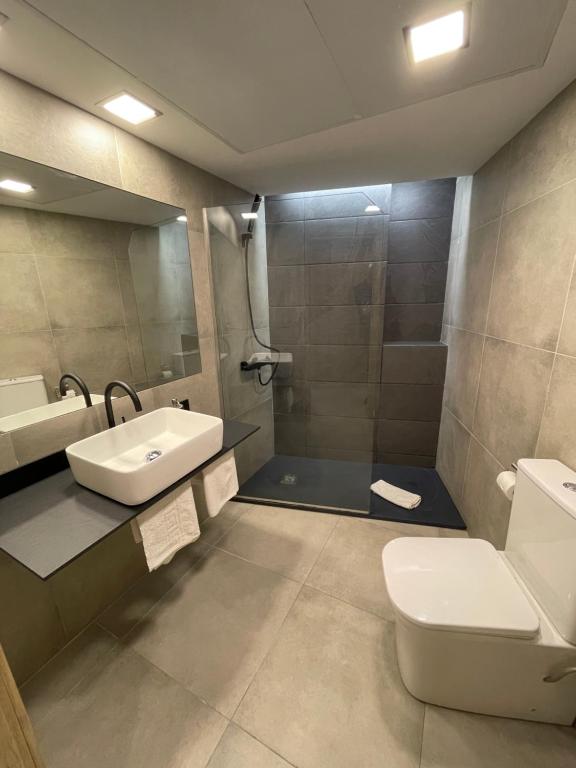 La salle de bains est pourvue d'un lavabo, de toilettes et d'un miroir. dans l'établissement FAMILY CATEDRAL CENTRO, à Grenade