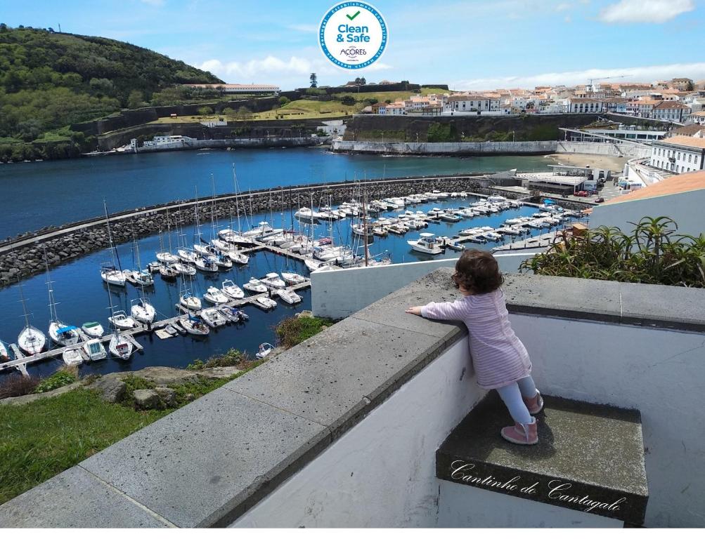 Une petite fille debout sur une corne en train de regarder un port de plaisance dans l'établissement Cantinho do Cantagalo, à Angra do Heroísmo