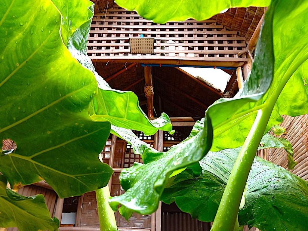 Giardino di Herbs Guest House and Restaurant near the Sea