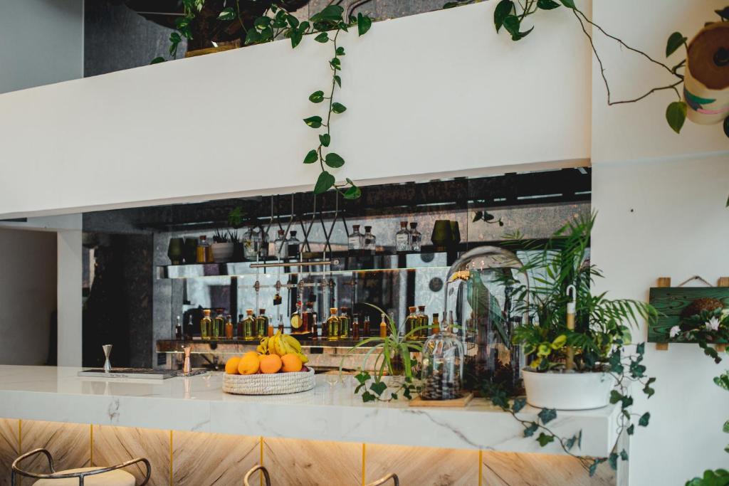 Nápoje v ubytování Roseum Boutique Hotel