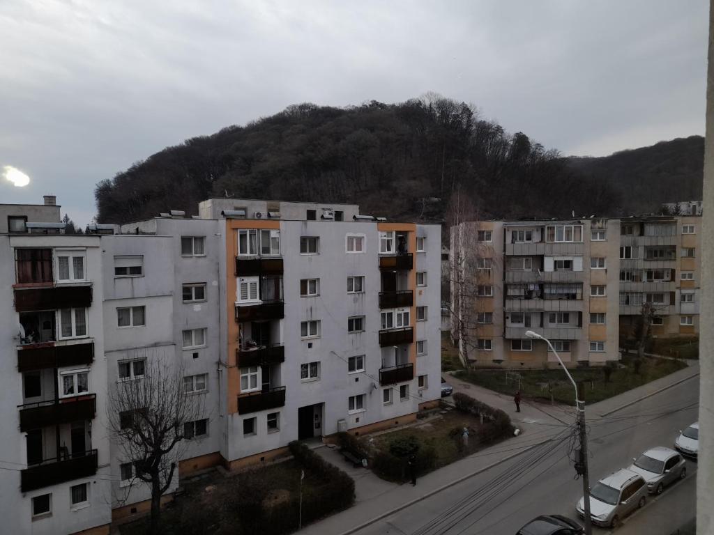 Apartament Sighișoara