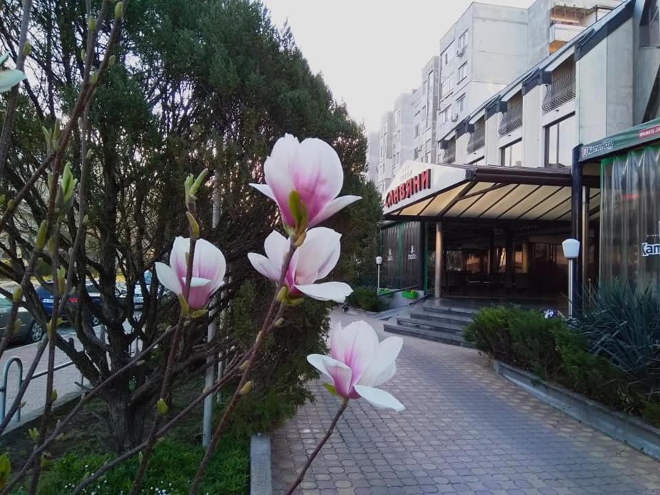 un groupe de fleurs roses sur un trottoir dans l'établissement Hotel Slaviani, à Dimitrovgrad