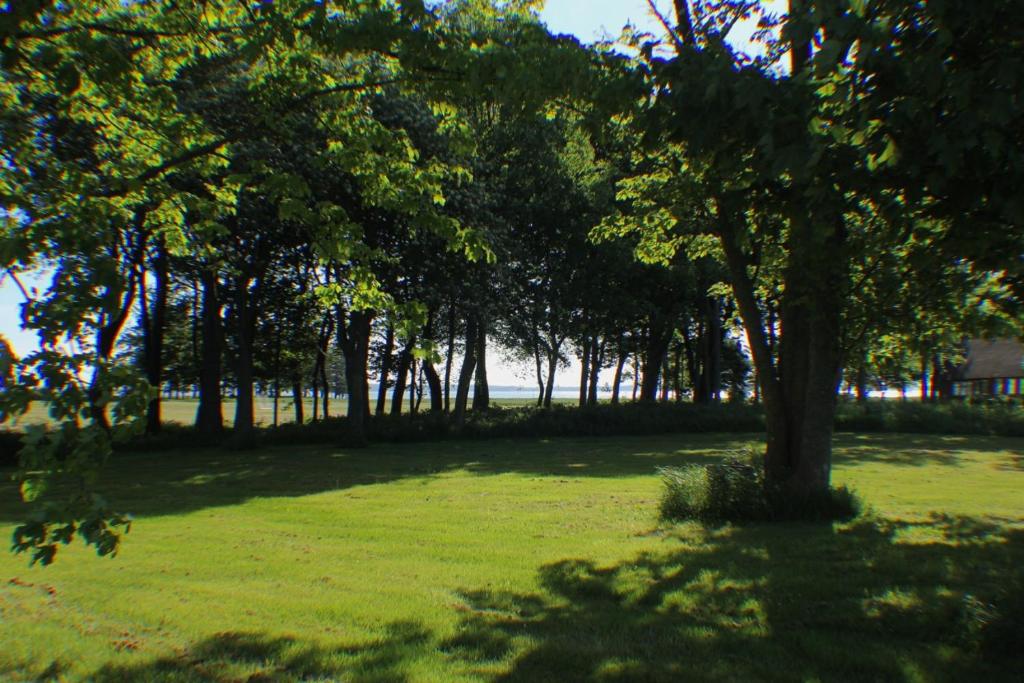 Paesaggio naturale nelle vicinanze della casa vacanze