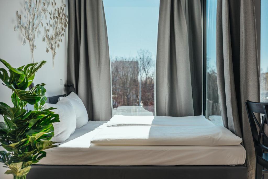 a bed in front of a window with a plant at The Rix Studios & Suites near SBahn Neukölln in Berlin