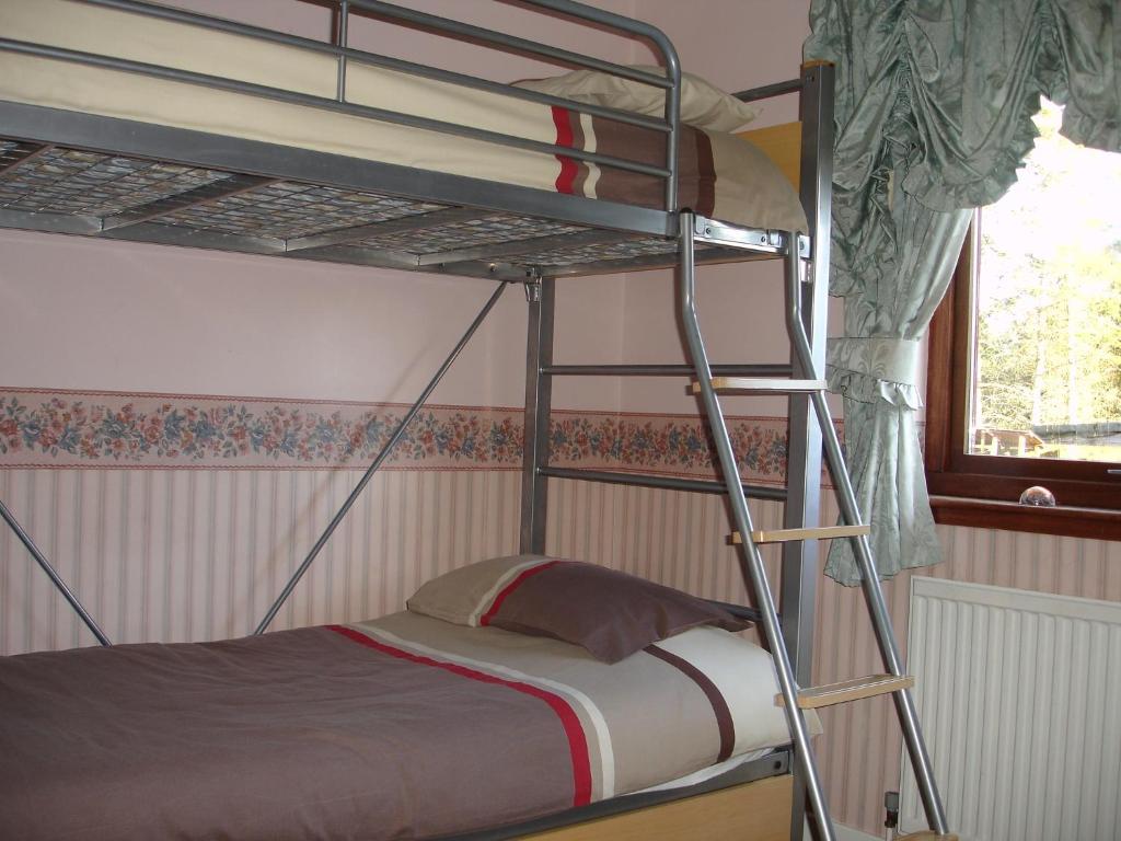 a bunk bed in a room with a ladder at Lavender Cottage with Parking and Beautiful Views in Carsphairn