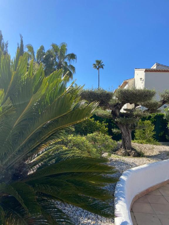 Zahrada ubytování Jávea Villa entière piscine et cuisine d'été à pinosol