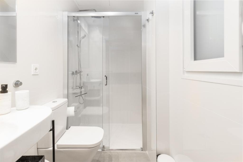 A bathroom at Santa Marina Apartamentuak Zarautz
