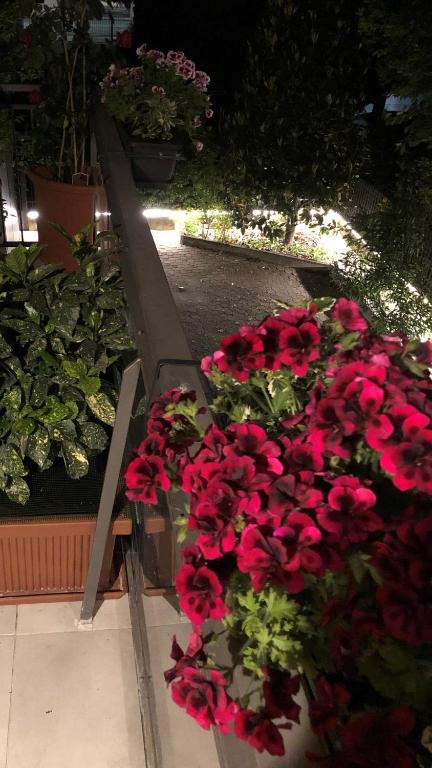 Zahrada ubytování Casa Elisa Dimora Urbana