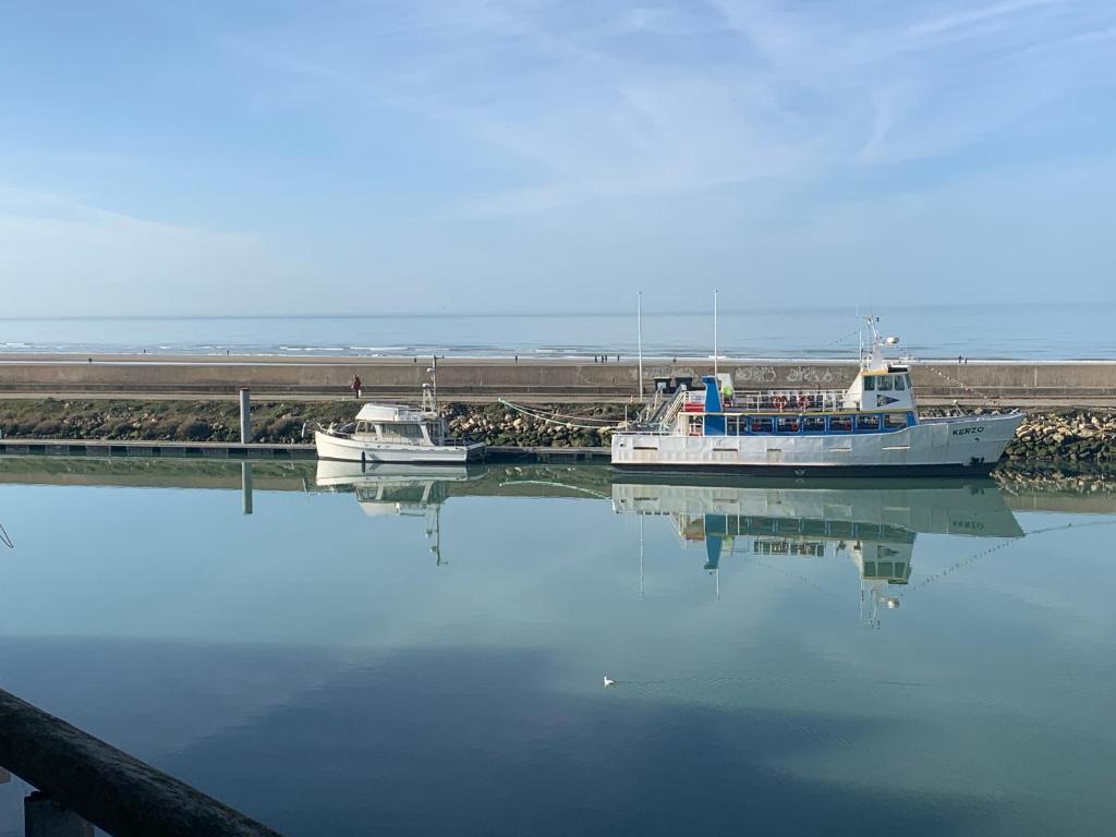 deux bateaux sont amarrés dans une masse d'eau dans l'établissement Horizon Bleu, à Deauville