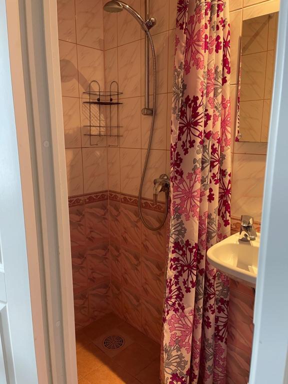 Koupelna v ubytování Lana House