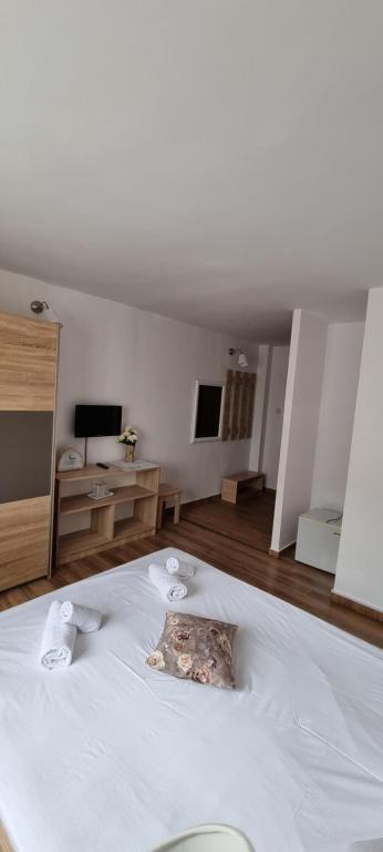 TV a/nebo společenská místnost v ubytování Hotel Dacor