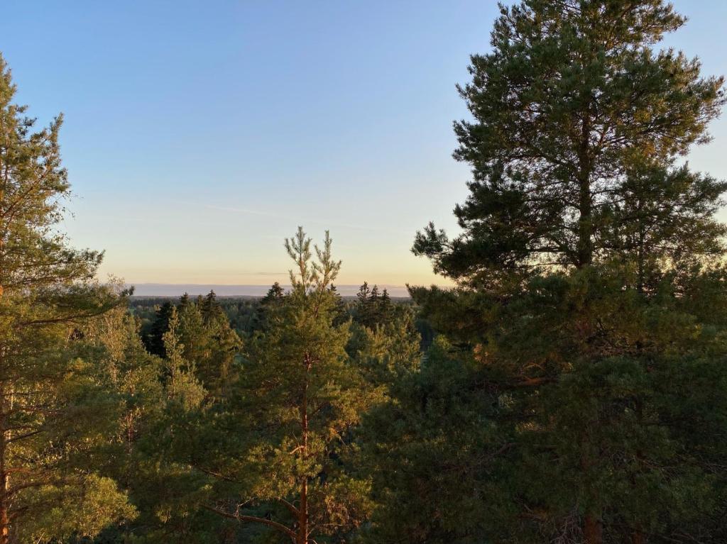 uma vista do topo de uma floresta com árvores em Spacious 68m2 apartment with fabulous forest view em Järvenpää