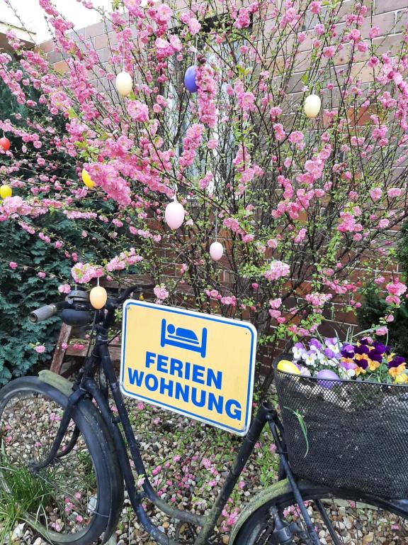 ein Fahrrad, das vor einem Blumengarten geparkt ist in der Unterkunft Apartment Sorgenfrei in Caputh