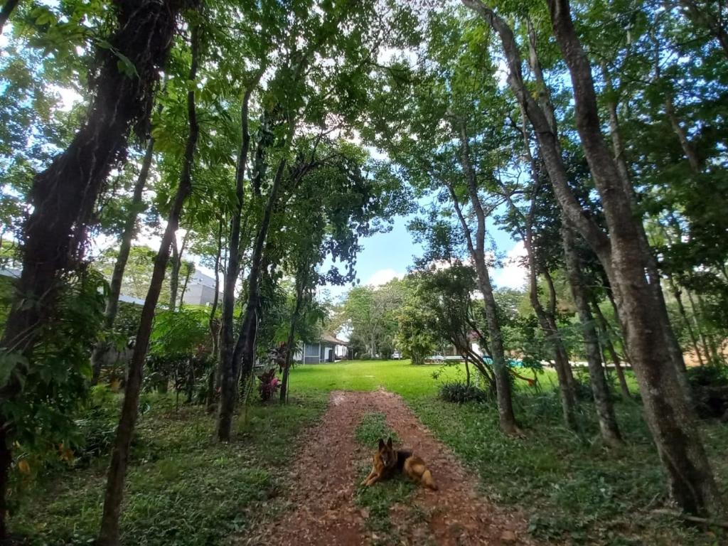 Příroda nedaleko apartmánu