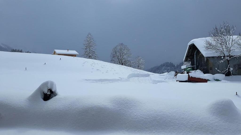 Snow+Surf B&B v zimě