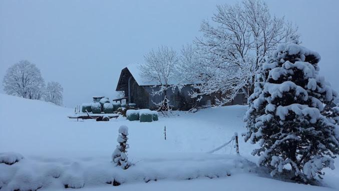 Snow+Surf B&B v zimě