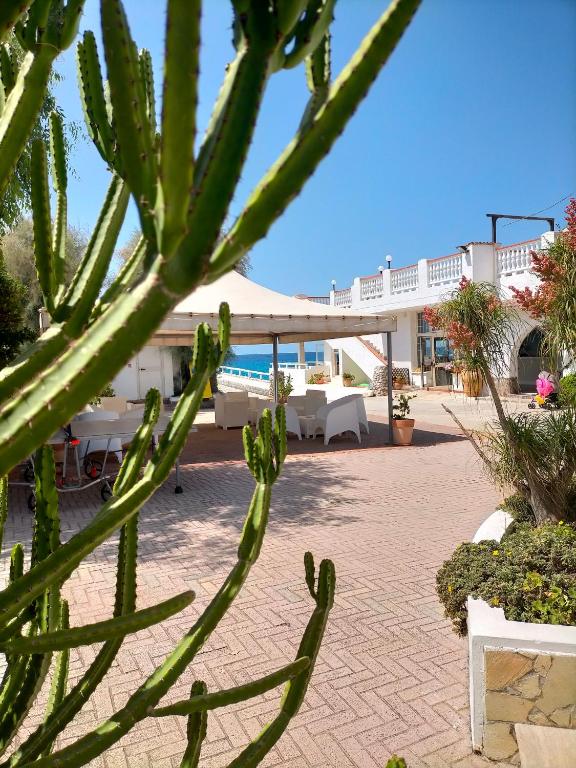 Villaggio Hotel Agrumeto